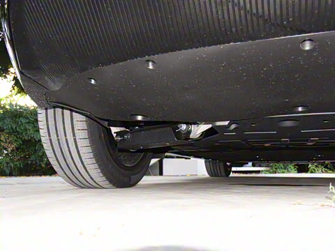 2025�� Max �����