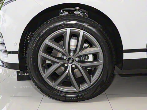 2026�� 250PS Dynamic SE