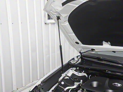 2026��  ˫�� 2.0HG ����