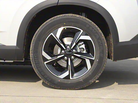 2025�� 518�����͹ھ���