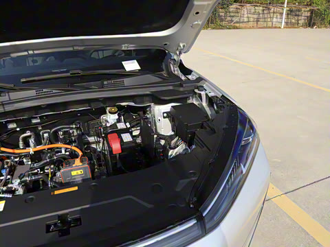 2025�� 518�����͹ھ���