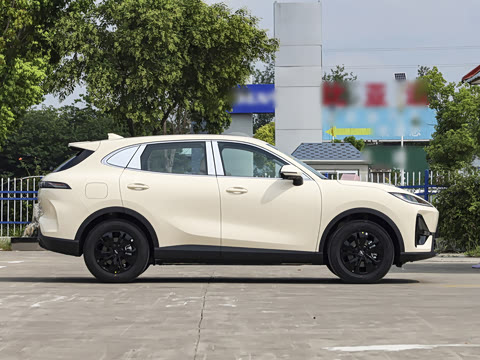 2026�� 600km ������