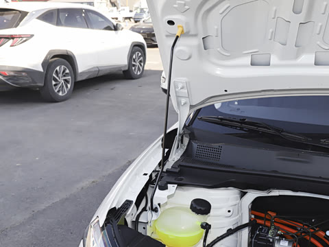 2026�� ֿ���� 330 Pro