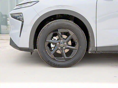 2026�� ��ƽ�� ������������