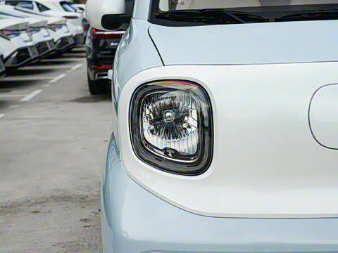 2026�� 222km ��ҫ��