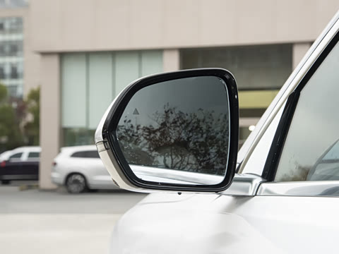 2025�� ���� Max+ ���������� 