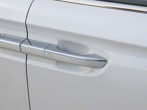 2025�� EV �������������