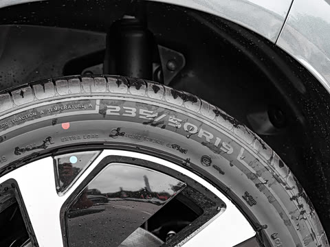 2025�� DM-i 205�캽Pro��