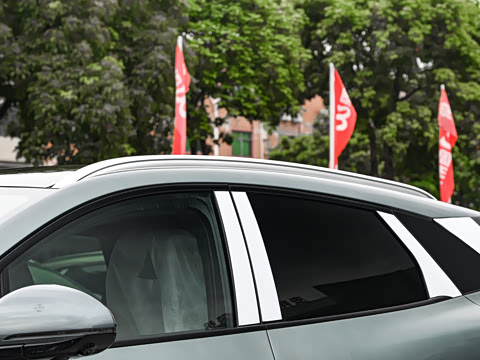 2025�� DM-i 205�캽Pro��