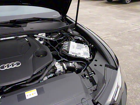 2026�� 55 TFSI quattro ����������