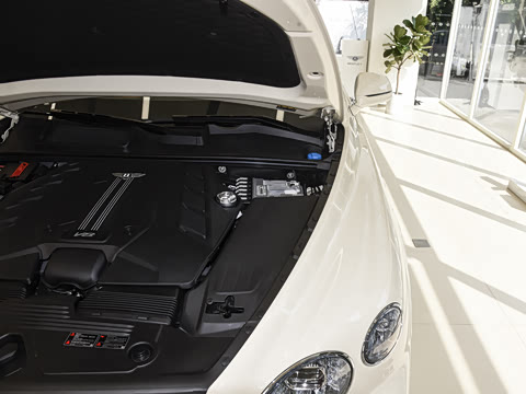 2026�� 4.0T V8 ������ŶȰ�