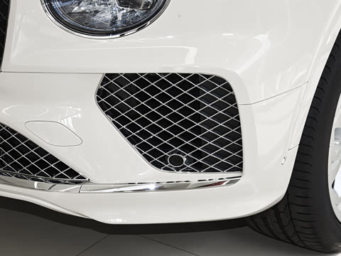 2026�� 4.0T V8 ������ŶȰ�