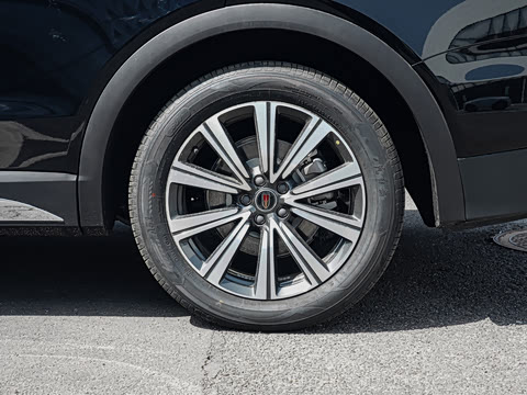 2025�� �Ŀ�  2.0T PHEV ����200��������� 7��