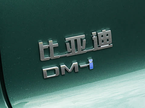 2026�� DM-i 133KM��Խ��