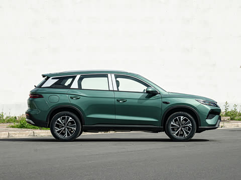 2026�� DM-i 133KM��Խ��