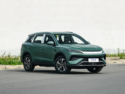 2026�� DM-i 133KM��Խ��
