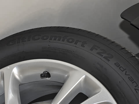 2025�� 25T ������