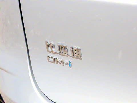 2025�� �Ǽݰ� DM-i 175KM �����