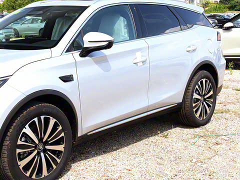 2025�� �Ǽݰ� DM-i 175KM �����