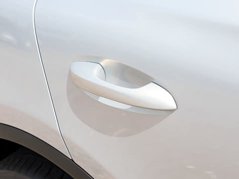 2025�� �Ǽݰ� DM-i 175KM �����