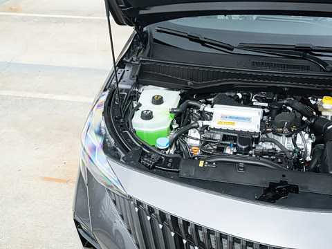 2026�� Ӱ�� 270T ������