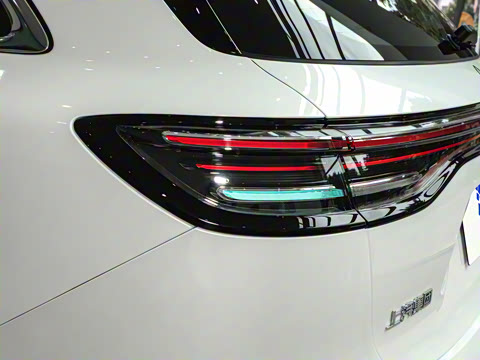 2025�� ���� Max