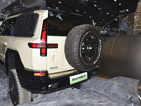 2025�� Max+