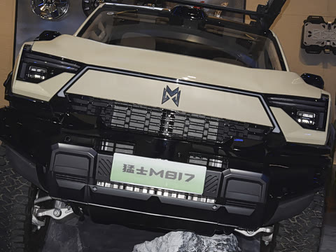 2025�� Max+