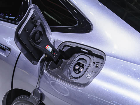 2026�� quattro Ǭ���Ǽݰ�