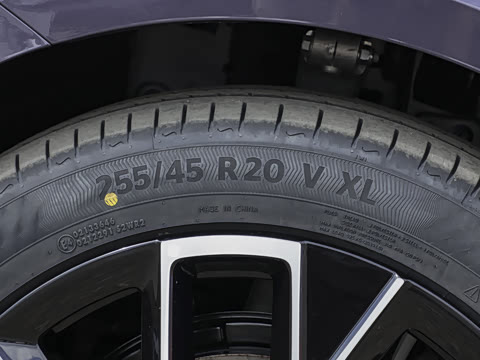 2026�� Max ˫��������