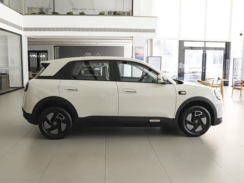 2026�� 310������