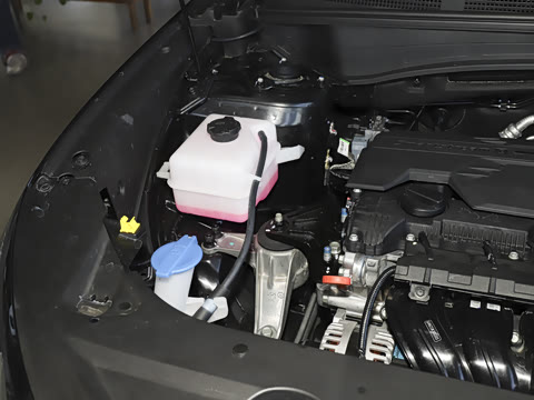 2026�� ��� 2.0L ������DLX