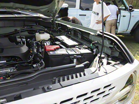 2025�� 2.3T 1966��׼��