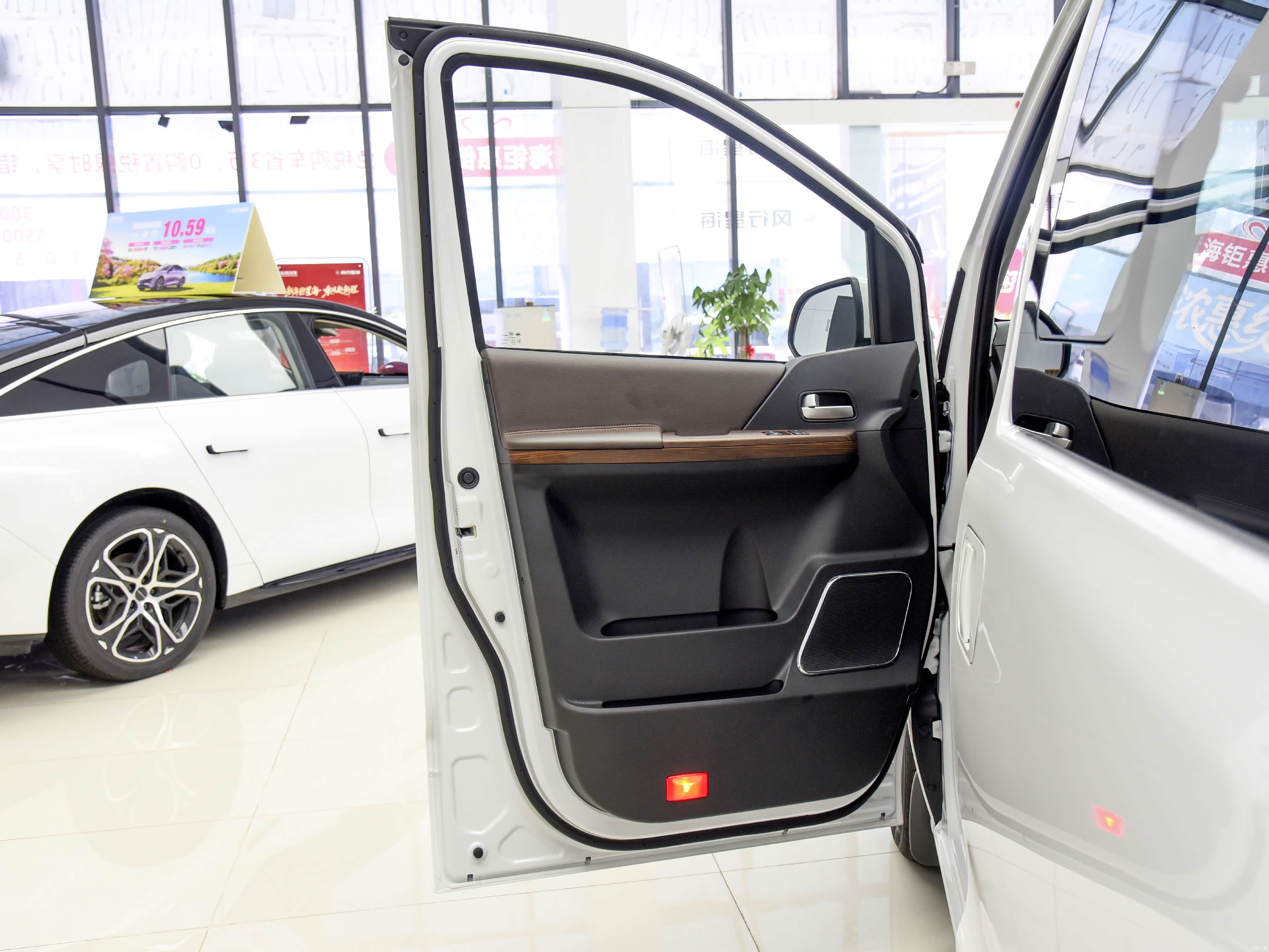 Forthing Lingzhi PLUS, миниатюра 20