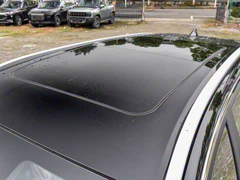 2025�� 290TGDI DCT����+