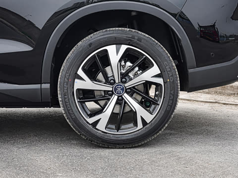 2026�� �ɳ۰� DM-i 220KM��Խ��