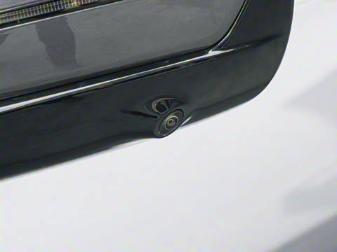 2025�� 260��������������