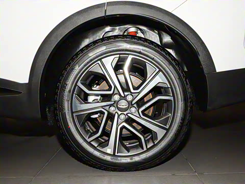 2025�� 1.6TGDI AT�����