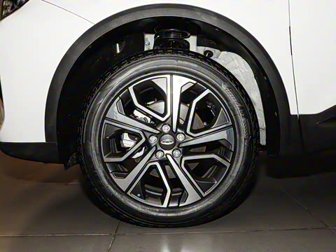 2025�� 1.6TGDI AT�����