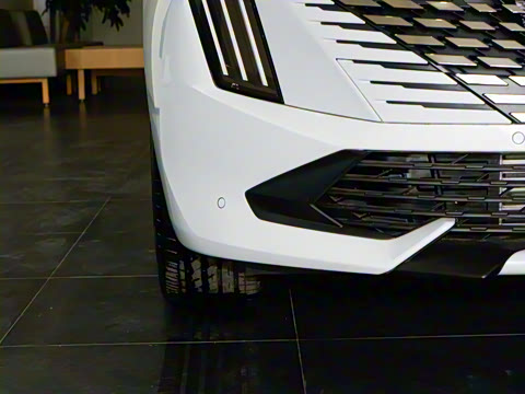 2025�� �Ŀ� 508L 400THP Ԧ���콢��