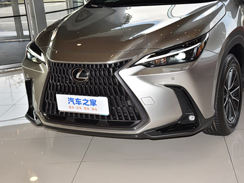 2025�� 400h+ PRIME