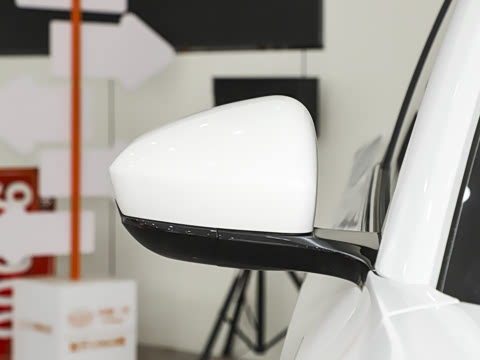 2025�� 565km �����