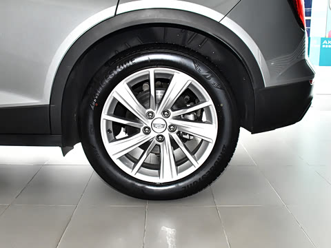 2023�� 25T ������