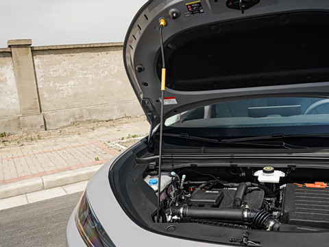 2026�� DM-i 305�캽��