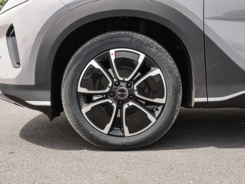 2026�� DM-i 305�캽��