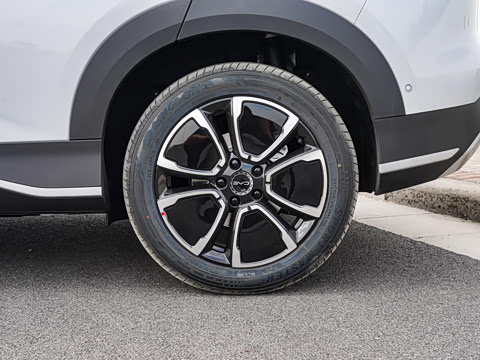 2026�� DM-i 305�Ǻ���
