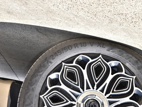 2023�� ��ʨϵ�� 2.0T �� 7��