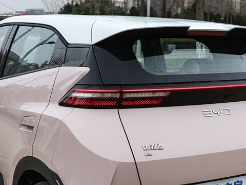 2025�� �Ǽݰ� 305km ������