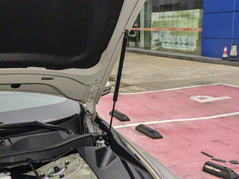 2025�� ������