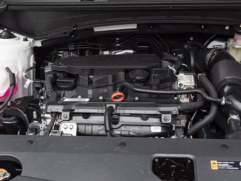 2026�� ����������